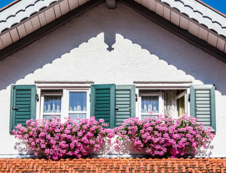 old window and flowers - photoの写真素材