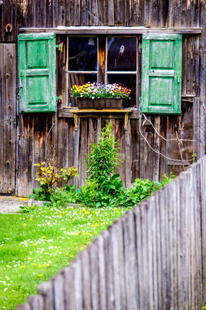 old window and flowers - photoの写真素材