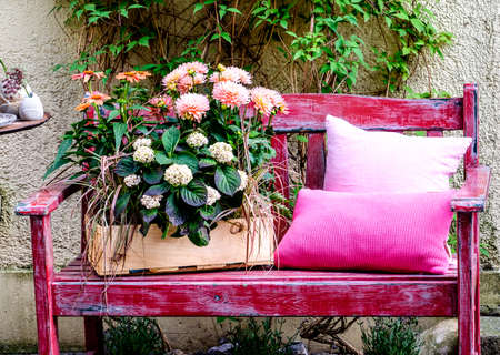 old chairs and flowers at a gardenの写真素材