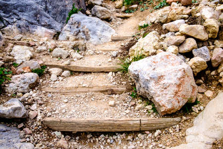 steps at a footpath in a forestの写真素材
