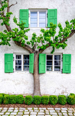 typical old wooden window - bavariaの写真素材