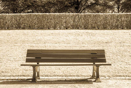 wooden park bench at a park