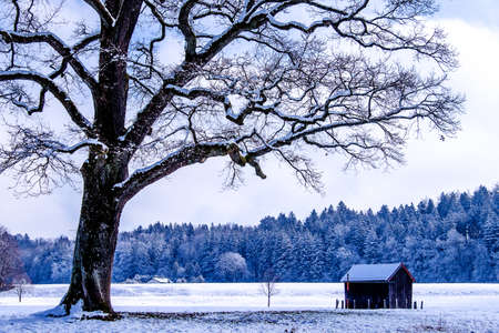 old house at the european alps in winterの写真素材