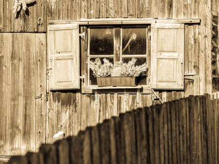 old window and flowers - photoの写真素材