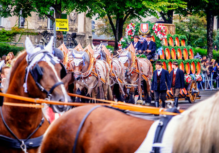 MUNICH, GERMANY - SEPTEMBER 16, 2017: The Oktoberfest is the world biggest beer festival and at the opening parade with rd. 9000 participants take part in historical costumes, music bands and horses.のeditorial素材