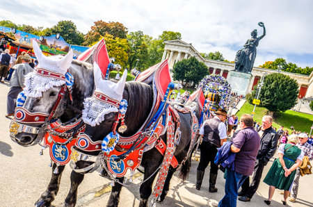 MUNICH, GERMANY - SEPTEMBER 27: brewery horses at the biggest folk festival in the world - the octoberfest on september 27, 2017 in munich.のeditorial素材