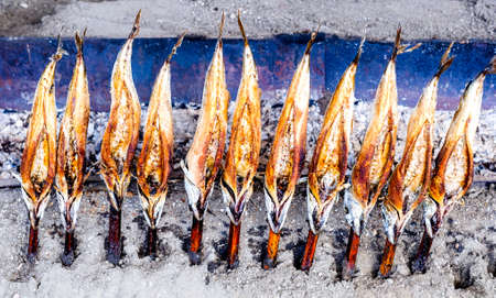 typical bavarian fish on a stick at the oktoberfest - germanyの写真素材