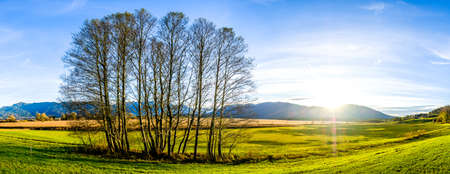 landscape murnauer moos - bavaria - germanyの写真素材