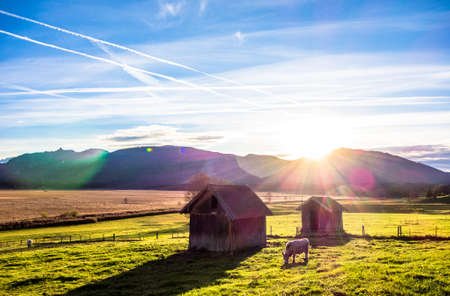 landscape murnauer moos - bavaria - germanyの写真素材