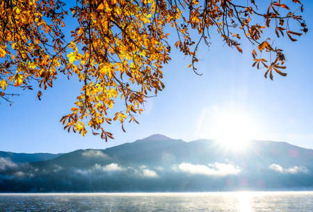 zeller see (zeller lake) in austriaの写真素材