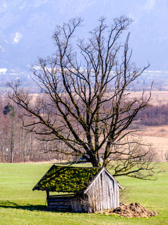 old blockhouse at the european alpsの写真素材