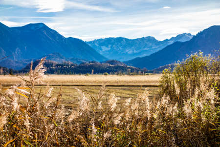 landscape murnauer moos - bavaria - germanyの写真素材