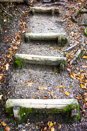 old wooden steps at a trail