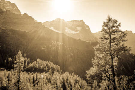 karwendel mountains in austria - small valley called engalmの写真素材
