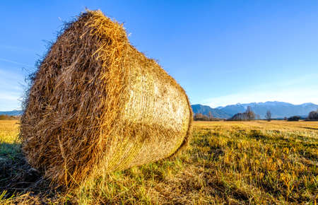 landscape murnauer moos - bavaria - germany