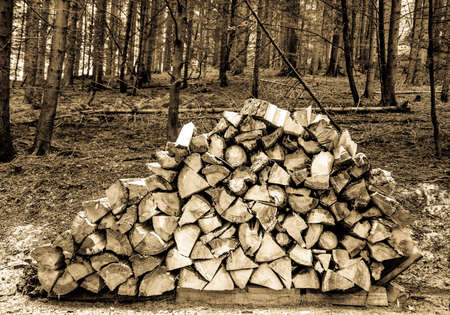 firewood at a farm - nice background