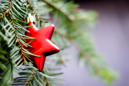 Old fashioned Christmas decoration - photoの写真素材