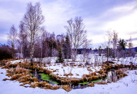 ellbacher moor - landscape near bad toelz - bavaria