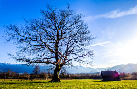 landscape murnauer moos - bavaria - germanyの写真素材
