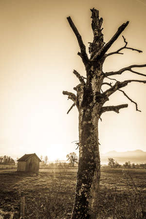 landscape murnauer moos - bavaria - germanyの写真素材
