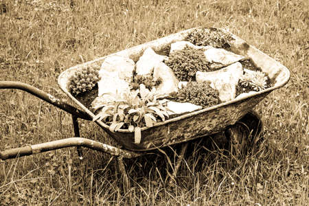 old wheelbarrow at a farmの写真素材