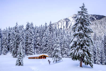 bavarian landscape in winter - european alpsの写真素材