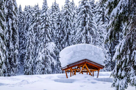 bavarian landscape in winter - european alpsの写真素材