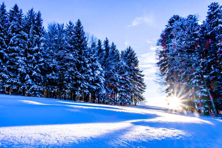 bavarian landscape in winter - european alpsの写真素材