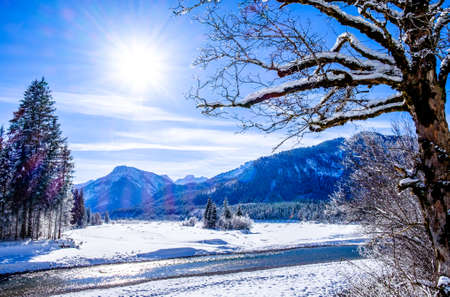 karwendel mountains in austria - small valley called vorderrissの写真素材