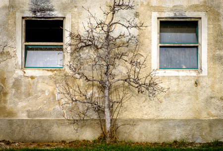 old window at a historic building