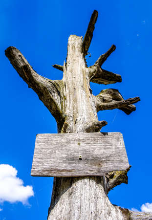 wooden billboard with copy space