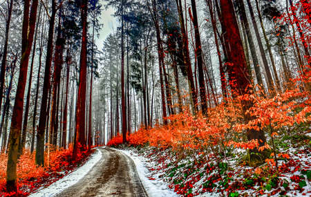 old country road in winter - european alpsの写真素材