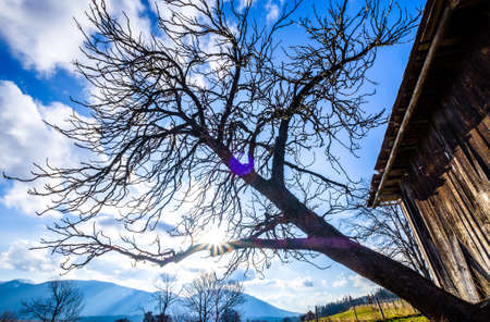 landscape murnauer moos - bavaria - germany