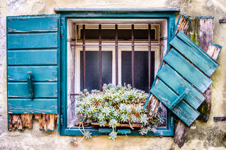 old window with flowers - photo