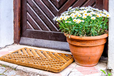 flowers at an entrance - closeup