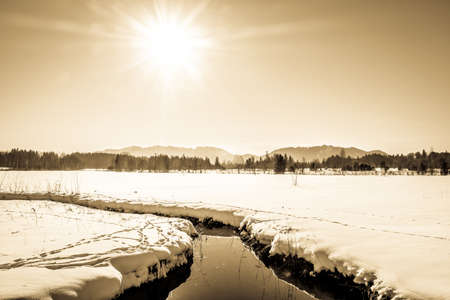 ellbacher moor - landscape near bad toelz - bavariaの写真素材