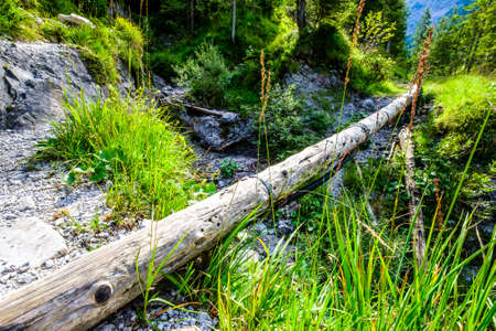 small footbridge at the european alpsの写真素材