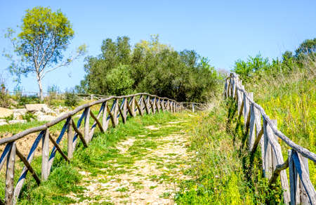 road at a forest - photoの写真素材