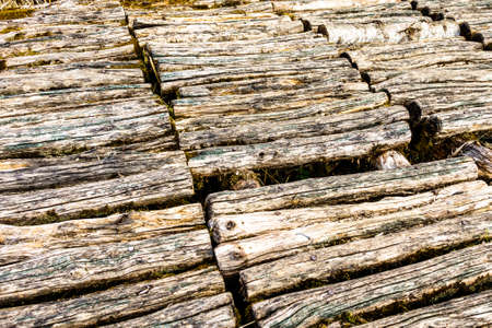old wooden footpath at a forestの写真素材