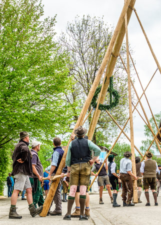 BAD TOELZ, GERMANY - MAY 1: A traditional maypole is being set up by the local bavarians during the typical May Day festival on May 1, 2018 in Bad Toelz in Germany.のeditorial素材