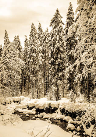 bavarian landscape in winter - european alpsの写真素材