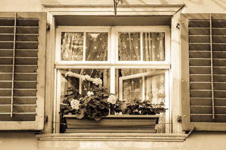 old window with flowers - photo