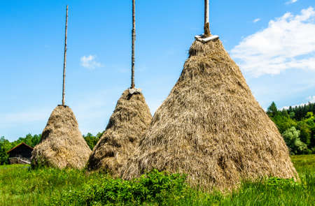 old bavarian haystacks, called drischenの写真素材