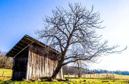 landscape murnauer moos - bavaria - germanyの写真素材