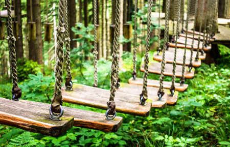 high ropes course at a forestの写真素材