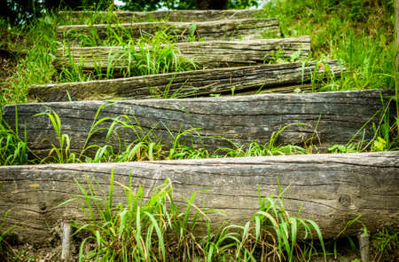 old wooden steps at a trailの写真素材