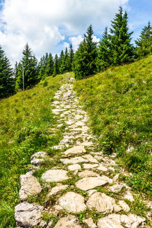 old footpath at a mountainの写真素材