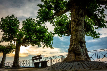old park bench at a lakeの写真素材