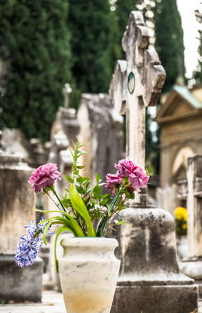 flowers at an old cemetery in croatiaの写真素材