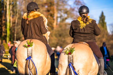 TUTZING, BAVARIA/GERMANY - DECEMBER 26: people at the traditional horse-carriage procession with blessing, named stefaniritt on december 26 2017 in tutzingのeditorial素材